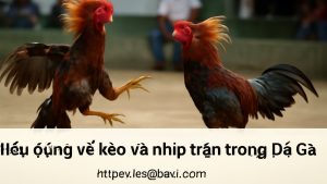 https://ee88ae1.com/ và kinh nghiệm chọn kèo Đá Gà hiệu quả, an toàn